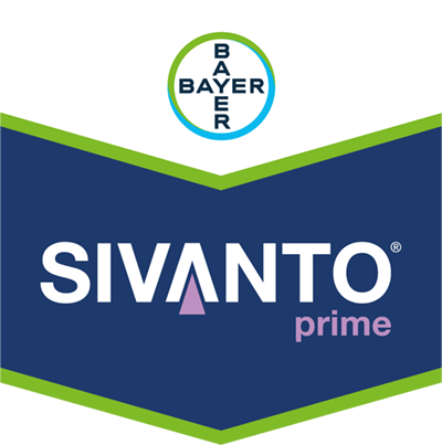 Sivanto® Prime