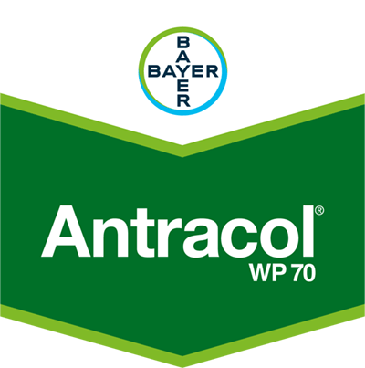 Antracol® WP 70