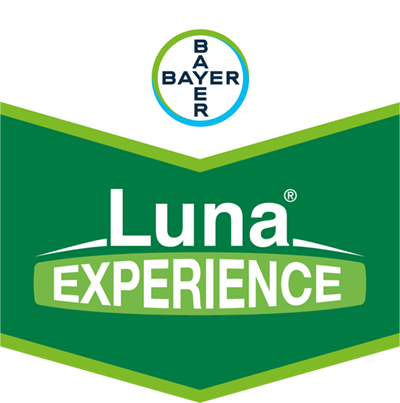 Luna® Experience